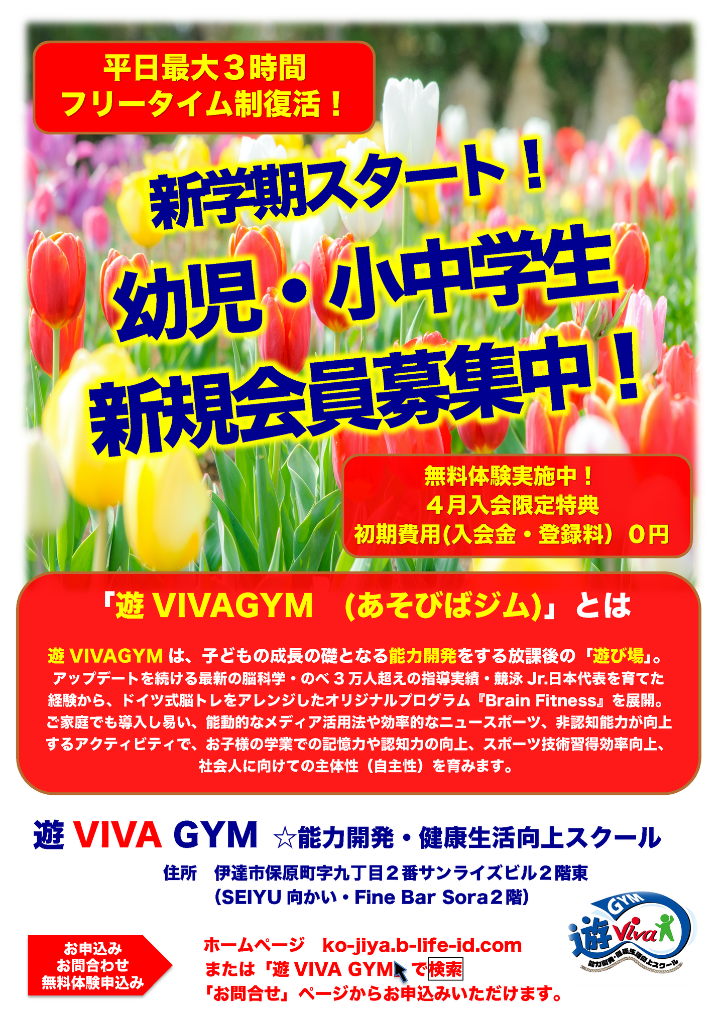 遊vivaGYM案内1